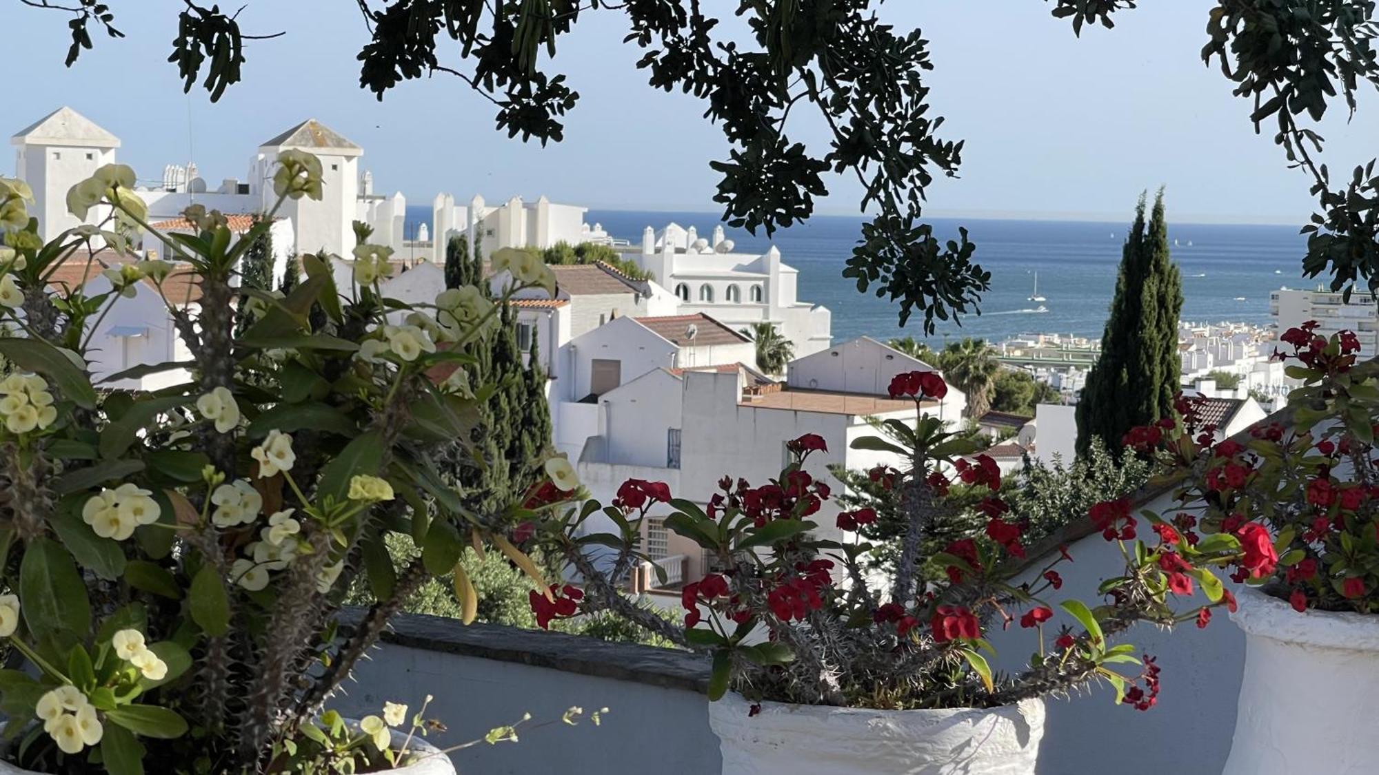 Terra Aloe Hotel Torremolinos Ngoại thất bức ảnh